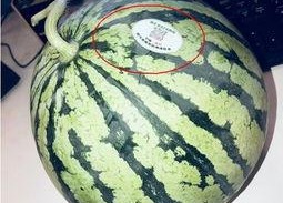 网红吃瓜小卖部,揭秘娱乐圈幕后故事，带你领略明星真实生活