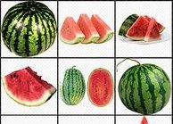 吃瓜娱乐背景板图片高清,揭秘娱乐圈幕后风云