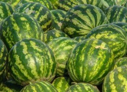 娱乐吃瓜酱30,揭秘娱乐圈那些不为人知的幕后故事